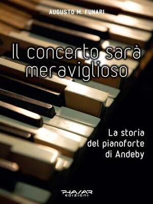 cover image of Il concerto sarà meraviglioso